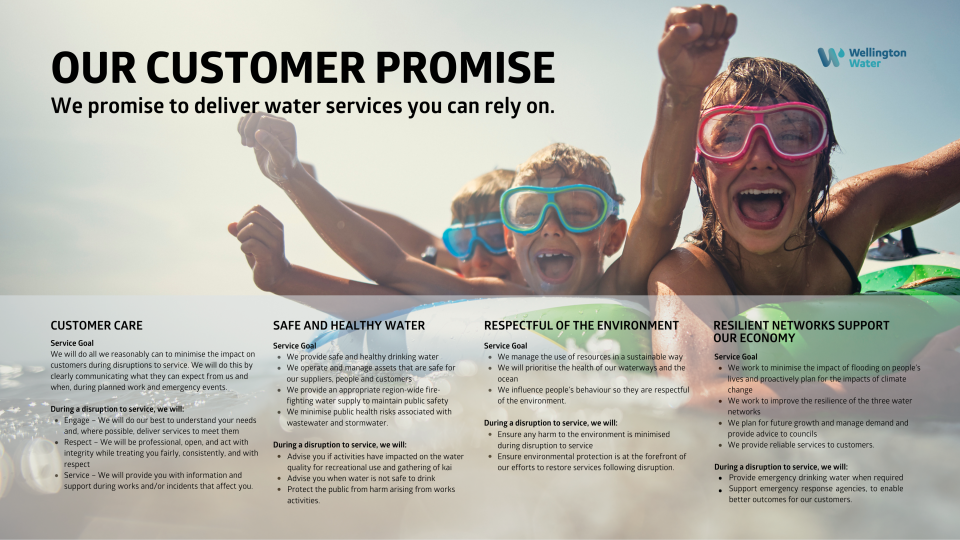 Customer promise p1 website