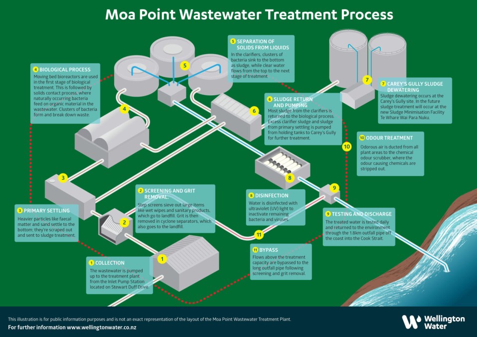 Moa Point Diagram (1)