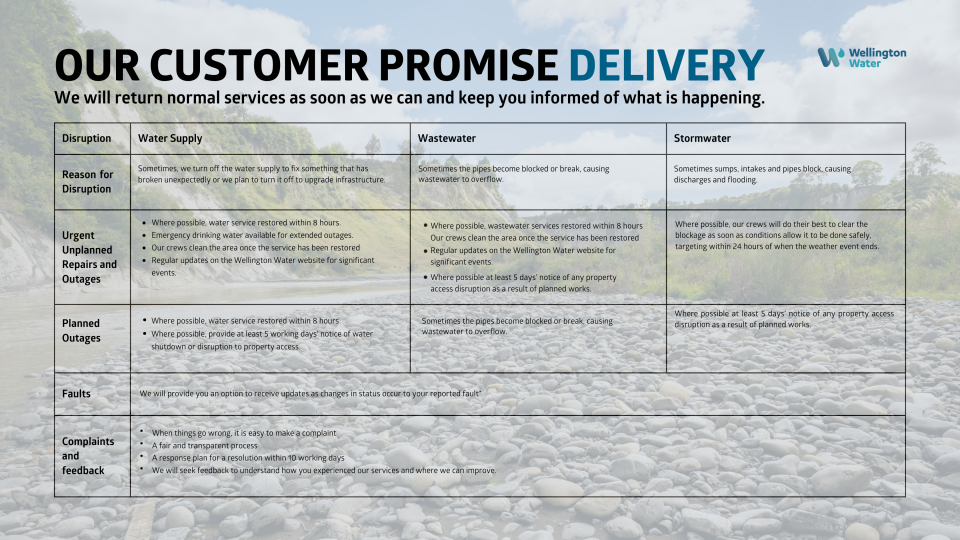 customer promise p2 website
