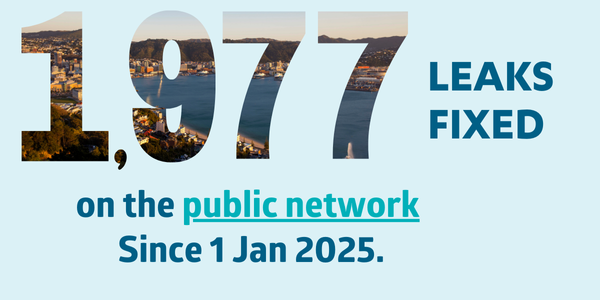 Leak fixed on public network Jan 2025 small