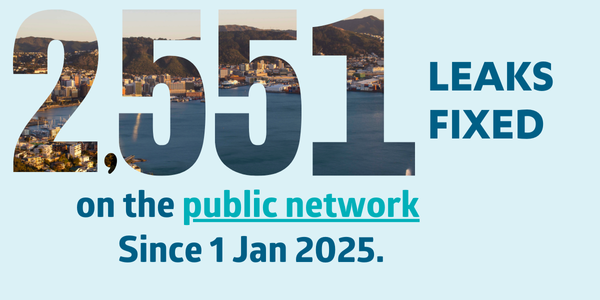 Leak fixed on public network Jan   April 2025 small