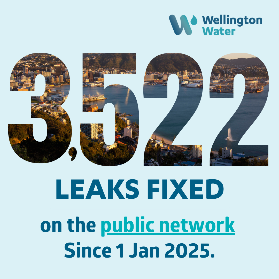Leak fixed on public network July large