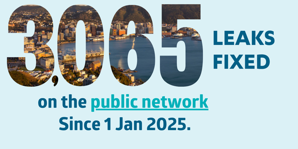Leak fixed on public network Jun 2025 small