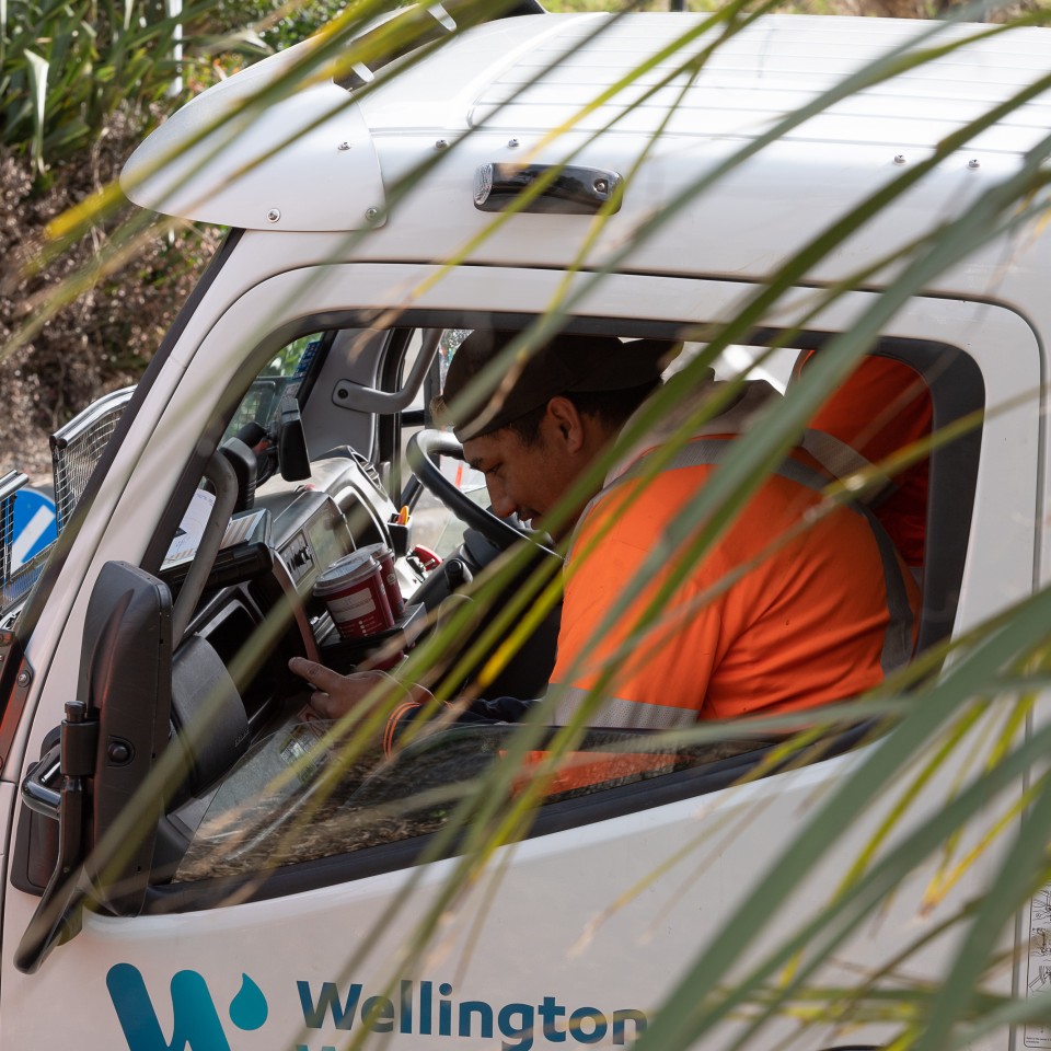 20200811 WW WellingtonWaterImagery 054