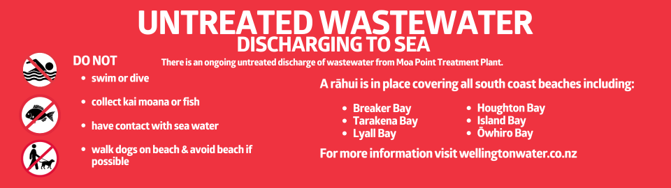 Moa Point discharge Meta advert 1080x1920px (1920 x 540 px)