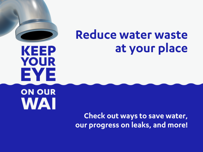 Keep your eye on our wai   website 800 x 600