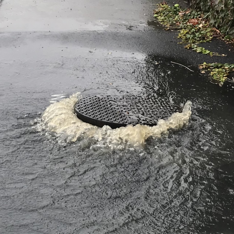 Mana esplanade (low res)